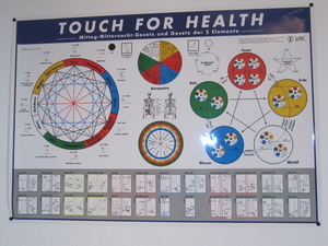 Touch For Health (2) Touch For Health (2)