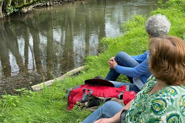 NaturCoaching Setting Bach